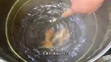 福建泉州洪濑鸡爪｜日产10万斤鸡爪风靡全国