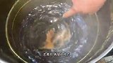 福建泉州洪濑鸡爪｜日产10万斤鸡爪风靡全国
