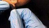 健康 变绿发芽的土豆能食用吗？是不是消掉一部分就可以了呢？通过实验验证，结果出乎意料