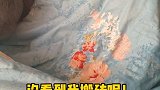 善变的猫！戏精 可爱 猫