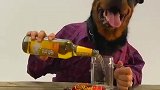 狗子：喝酒不，我敬你一杯！