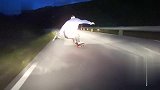 速降滑板 夜间公路的极速穿行者!