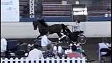 马拉着马车失控，在赛场里横冲直撞