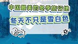你最喜欢哪种颜色呢？