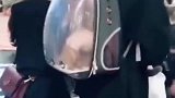 年纪轻轻猫狗双全，还有女朋友，实名羡慕