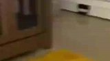 主人告诉狗子它是被领养的，狗子脸上的笑容逐渐消失