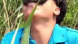 枪打出头鸟，这个段子太好笑了