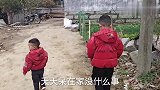 远嫁的甘肃妹没亲朋好友可以玩，不是窝家就是到牛棚玩，太可怜了