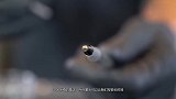 把1000支圆珠笔墨水放入液氮真空,圆珠笔你不要再折磨我了