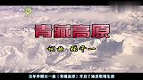 李娜重回歌坛？当年削发为尼背后真相揭晓，原来我们都被骗了