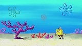 海绵宝宝：海绵宝宝要去工作了，可身后却跟了一群跟屁虫？