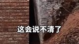 邻居之间不和睦，这会说不清了