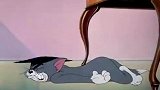 猫和老鼠：汤姆恨铁不成钢，小猫太傻，被杰瑞玩的团团转