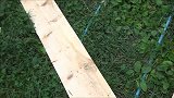 为小猫建造房子