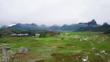#航拍#春雨贵如油，雾绕稻田美景如画