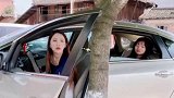 女司机到底有多可怕，车门关不住居然认为是树的问题，还想把树连