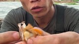 船长吃扇贝海鲜有讲究