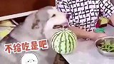 你们不让我吃，那只好自己动手了