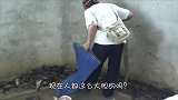 男子一人闯进眼镜蛇窝，眼镜蛇全都炸窝，网友：他不要命了？