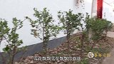 童年：小时候和小伙伴一起烤红薯，自己烤的红薯就是好吃，真有趣