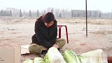 美女卖白菜遇上抠门小伙，这套路玩的一个比一个深，结局太搞笑了