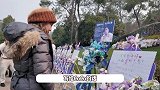 CoCo李玟51岁冥诞，二姐现身墓地缅怀妹妹，看到歌迷的花篮满脸欣慰