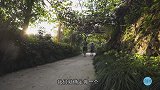 北漂青年回乡造土屋，过田园生活，城里人慕名而来