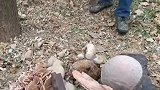 从山上捡到的奇石，大叔拿给我看的时候，我就有购买它的想法！