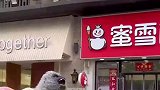 雪王偶遇黑社会,吓得直哆嗦