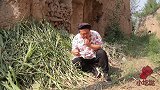 傻小伙碰上老大妈，对话你一句我一句，真逗