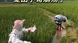 国外小哥差一点要崩溃了，网友：大型惊恐片连续剧