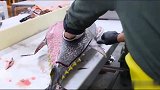 大厨切金枪鱼，那么多边角料扔掉，贵是有道理的