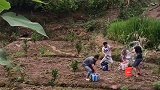 农村搞笑趣事；不一样的泼水节，结局太搞笑了