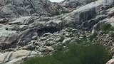 我在远方很多的岁月，时常会想起你这一刻的情景