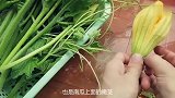 立夏后，宝宝多吃此菜，补钙质身体棒，骨骼强壮，个头比同龄人高