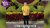 岳云鹏自曝从小就爱王菲! 理性追星与众不同
