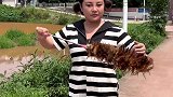 怎么哪里都看得见易老幺