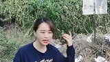 豫剧赵铁贤哭坟创意新颖，道具奇特，简直是太好听了