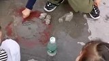做儿媳妇不好