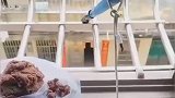 男子被洪水困在3楼，家中摆好鱼竿钓鱼还不忘打窝