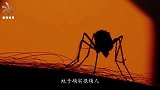 以色列发明高科技“防蚊利器”，精准度高，让人类免受蚊虫叮咬