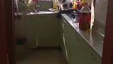 一只肥猫从天花板掉下来