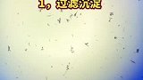 开水放大，这样的开水你敢不敢喝