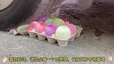 汽车碾压塑料洗菜盆实验