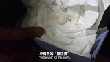 #2024国际短视频大赛 优秀作品：《北京雨燕的家书：第二期 当家》