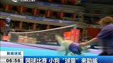 网球赛场小狗“球童”抢风头 业务素质与专业球童比肩