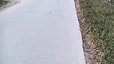 男子在路边拍下的一幕