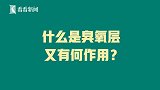 北极出现大面积臭氧层空洞 专家：太冷了！