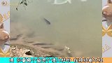 狗：来不及解释了，快拿纸！