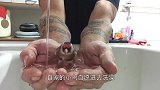 鹦鹉自主洗澡，而主人嫌鹦鹉浪费水，鹦鹉太逗了